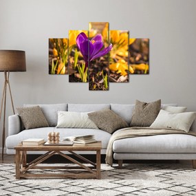Obraz fialovej kvetiny (150x105 cm)