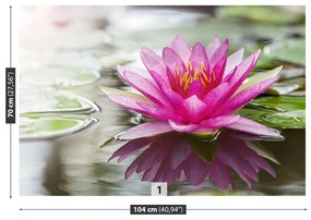 Fototapeta Vliesová Ružový lotos 312x219 cm