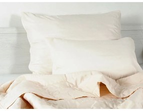 Obliečka na vankúš z mikrovlákna 70x90 cm Summer – B.E.S.