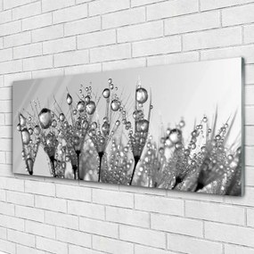 Obraz plexi Abstrakcie rastlina príroda 125x50 cm