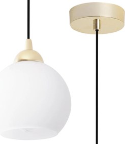 Závesné svietidlo Eliza, 1x biele sklenené tienidlo, g/b