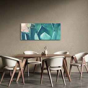 Obraz - Sukulent (120x50 cm)