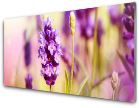 Skleneny obraz Kvety rastlina príroda 100x50 cm