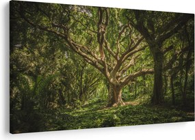 Obraz stromov (90x60 cm)
