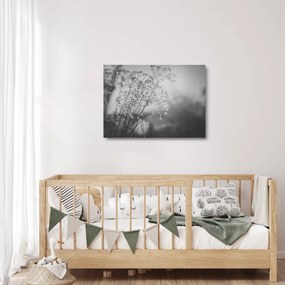 Sklenený obraz - Lúka po daždi (70x50 cm)