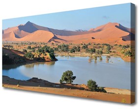 Obraz Canvas Jazero púšť krajina 120x60 cm