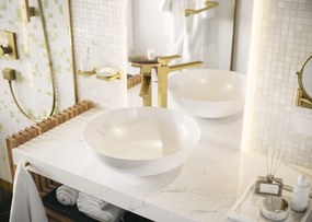 Hansgrohe AddStoris, jednoduchý háčik, leštený vzhľad zlata, HAN-41742990