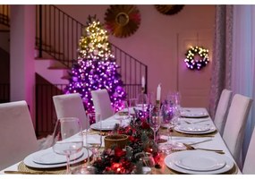 Twinkly TWS250SPP-TEU - LED RGBW Vonkajšia vianočná reťaz 250xLED 23,5m IP44 Wi-Fi