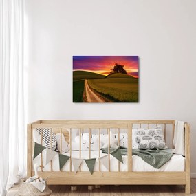 Obraz poľa a farebného neba (70x50 cm)