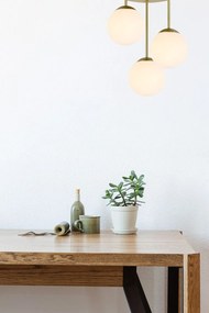 Toolight Toolight, stropné svietidlo 3xE27, APP1817-3CPR, zlatá, OSW-00667