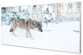 Obraz na akrylátovom skle Vlk v zime lese 125x50 cm