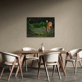 Obraz srnky (70x50 cm)