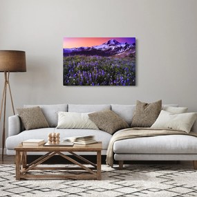 Obraz - Sopka a kvety (90x60 cm)