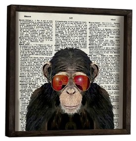 Nástenný obraz Monkey 34x34 cm I