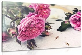 Obraz ruže v rozkvete - 60x40