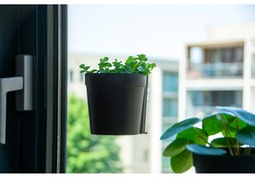 Plastové závesné a nástenné kvetináče v súprave 2 ks ø 10 cm – Esschert Design