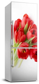 Nálepka fototapeta Červené tulipány FridgeStick-70x190-f-99817079