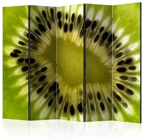 Paraván - fruits: kiwi II [Room Dividers]