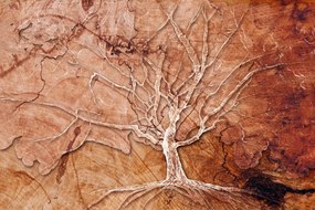 Samolepiaca tapeta starý opustený strom