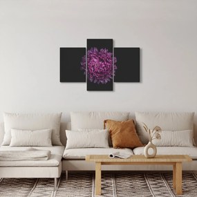 Obraz fialovej kvetiny (90x60 cm)