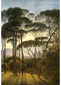 Fototapeta Old Trees 180 x 255 cm, 2 diely