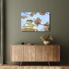 Obraz - Sakura (90x60 cm)