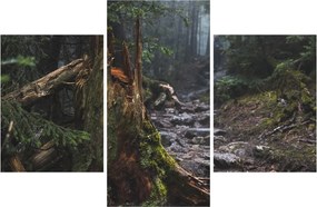 Obraz - V lese (90x60 cm)