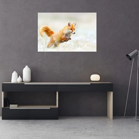 Obraz - Skákajúca líška (90x60 cm)