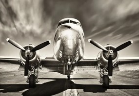 Plagát, Obraz - Aeroplane - Monochromatic