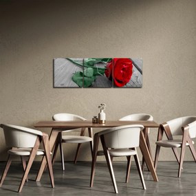Obraz - Červená ruža so zelenou stonkou (s hodinami) (90x30 cm)
