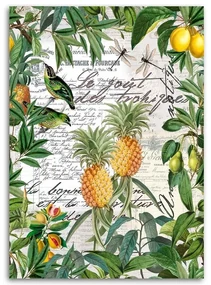 Gario Obraz na plátne Tropické ovocie a kaligrafia - Andrea Haase Rozmery: 80 x 120 cm