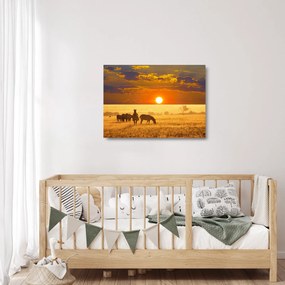 Sklenený obraz - Zebry so západom slnka (70x50 cm)