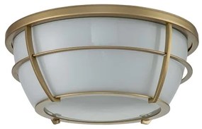 Quoizel QZ-CHANCE-F-PNBR- Kúpeľňové stropné svietidlo CHANCE 2xE27/60W/230V IP44