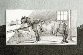 Obraz na skle Kreslenie zvieracieho kone