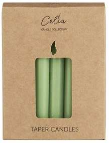 Ib Laursen Sviečka Taper Green Tea  – sada 12 ks