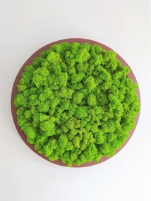 Machový obraz- kruh Ø20cm