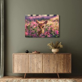 Obraz - Roztomilá srnčeka (90x60 cm)