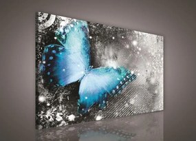 Obraz na stenu motýľ 75 x 100 cm