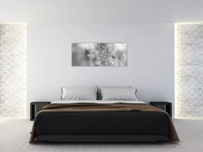 Obraz - Boho pampas grass (120x50 cm)