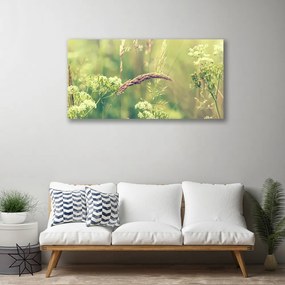 Obraz Canvas Divoké rastliny príroda 120x60 cm