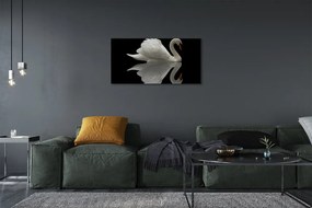 Obraz na plátne Swan v noci 120x60 cm