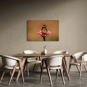 Obraz motýľa na kvetine (90x60 cm)