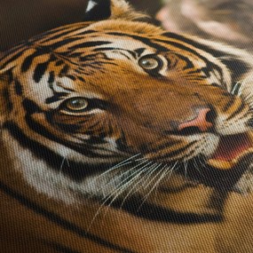Obraz tigra (90x60 cm)