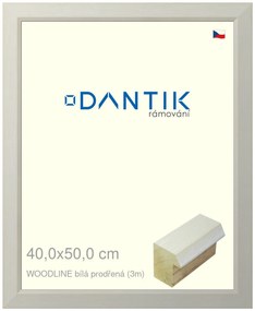 DANTIK rám na obraz 40x50 | WOODLINE bílá prodřená (Sklo Čiré)