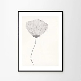 Moikka Plagát Poppy by Ana Frois A4 (21x27cm)