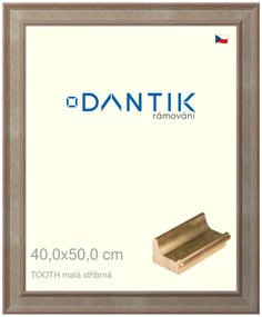 DANTIK rám na obraz 40x50 | TOOTH malá stříbrná (Plexi Čiré)