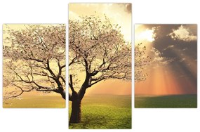 Obraz prírody - strom