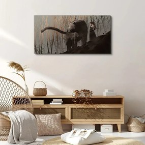 Obraz Canvas panther zviera