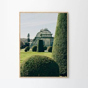 The Poster Club Plagát Topiary by Laura Short A4 (21x27)