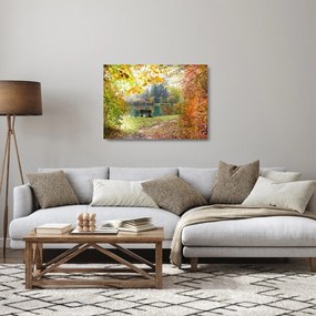 Sklenený obraz rybníka (70x50 cm)